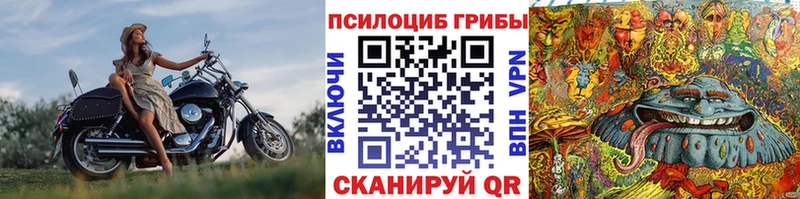 Галлюциногенные грибы прущие грибы  сколько стоит  Новоузенск 
