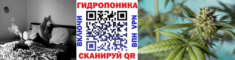 цена наркотик  Новоузенск  Марихуана SATIVA & INDICA 